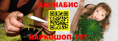 крисы Будённовск