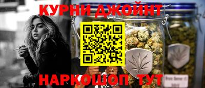 крисы Будённовск