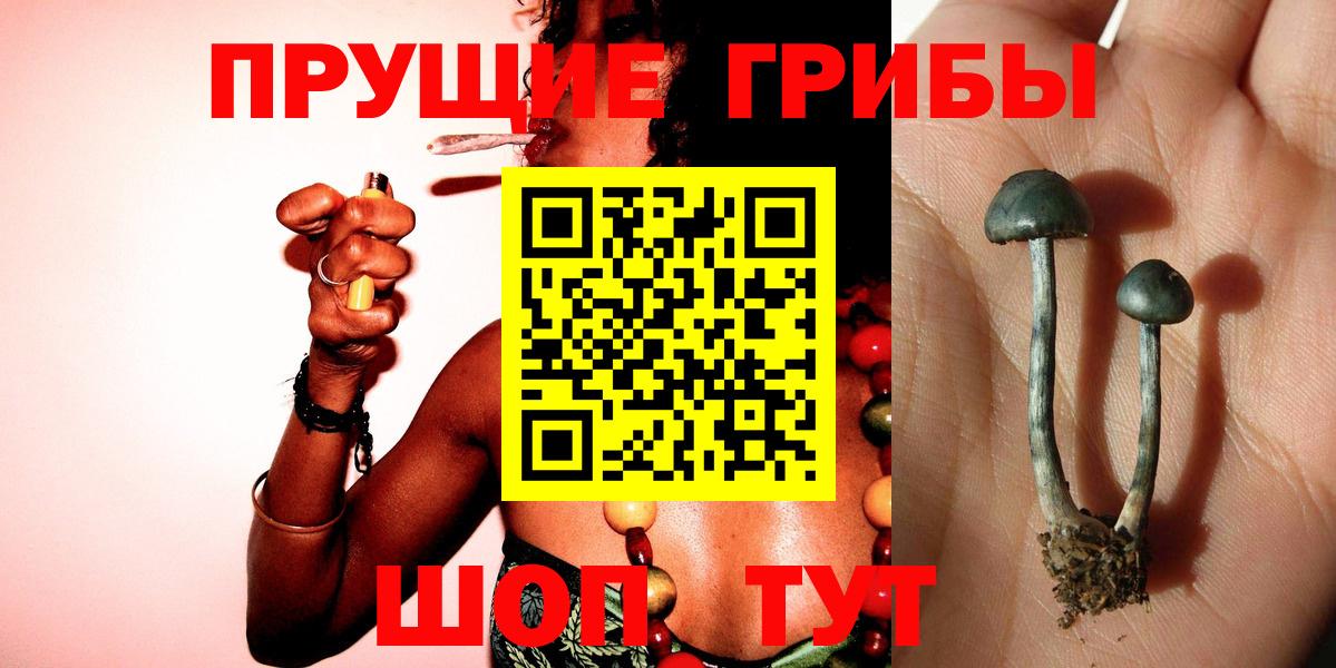 Ростов-на-Дону  Галлюциногенные грибы Psilocybine cubensis  Вход с VPN  Псилоцибиновые грибы Cubensis 