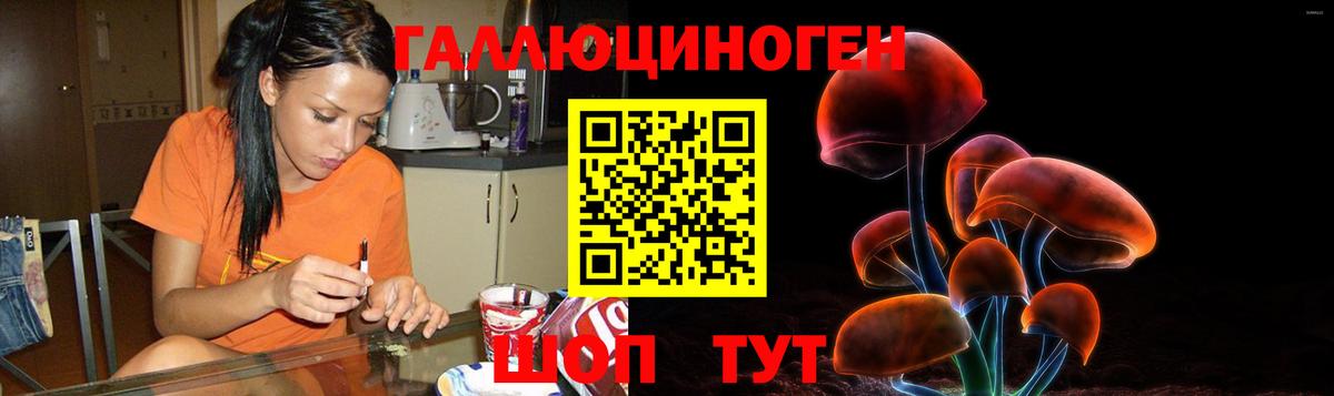 Галлюциногенные грибы прущие грибы Ростов-на-Дону